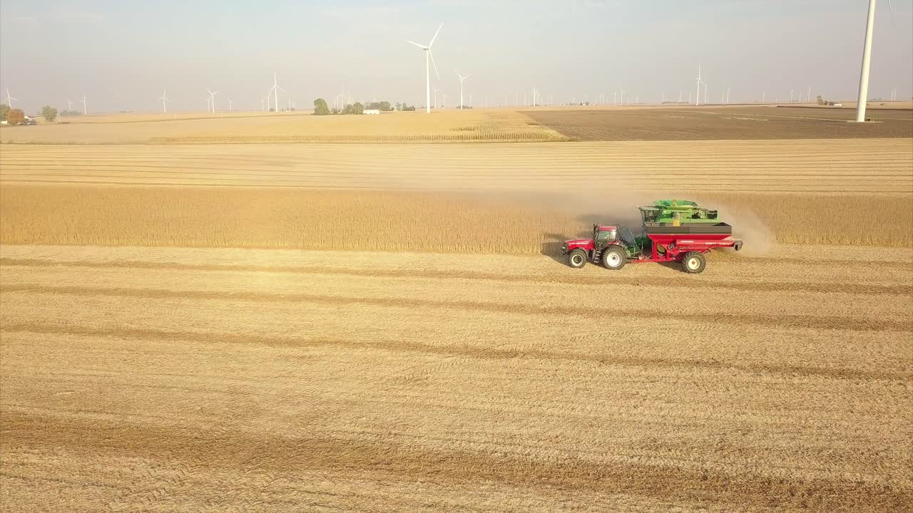 콤바인, 트랙터, 오거 마차로 콩밭을 수확하는 중서부 농부