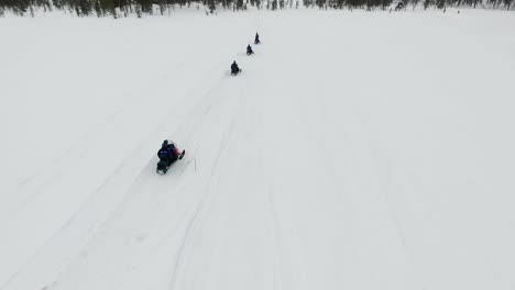 snowmobiles in a snowy forest