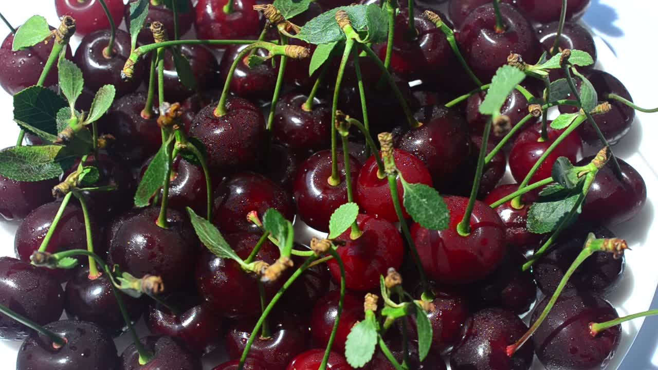 Ceri, direkam bergerak. Rekaman buah.