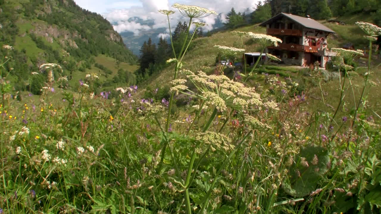съемка швейцарского шале с рук в вертикальном положении