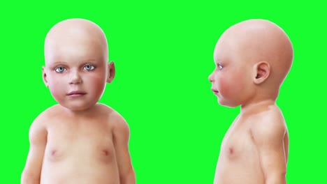 funny baby, children. green screen realistic animation.