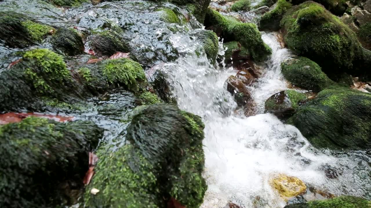 Izvir Bistrice, la sorgente naturale del fiume Bohinj. Il ruscello che scorre attraverso il fiume Bohinjska Bistrica riceve la sua acqua dalle montagne inferiori di Bohinj