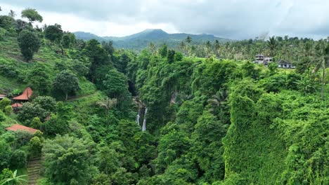 waterfall surrounded by jungle in bali - indonesia