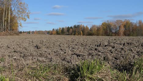 suelo de campo arado en otoño después de la cosecha en el campo