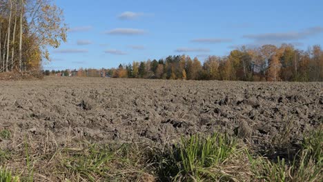 plowed field soil in autumn after harvest in countryside