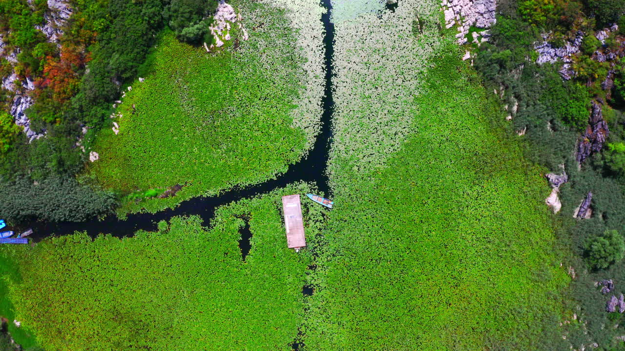 녹조류로 덮인 늪지대 석호에 정박한 작은 모터보트, 스카다르 호수, 몬테네그로, 오버헤드 샷 한가운데 바위와 잎으로 덮인 바위와 섬으로 둘러싸여 있습니다.