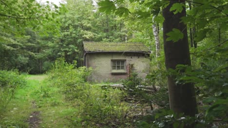 abandoned cabin in the woods