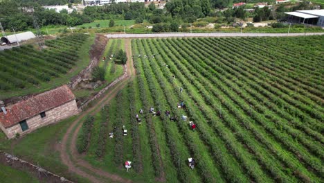 Landwirtschaftskonzept