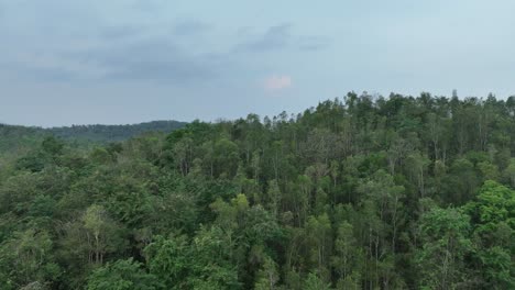 Drone-turning-over-forest-covered-hill-in-tropics-on-an-overcast-day,-with-smoke-haze-present-at-the-start-of-dry-season