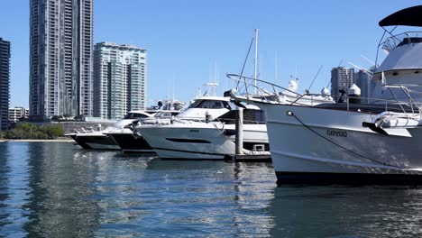 yachts and boats docked at a marina