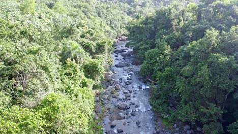 Arroyo-Higuero-Corriendo-A-Través-De-Rocas-En-Bosque-Verde,-La-Cuaba-En-República-Dominicana