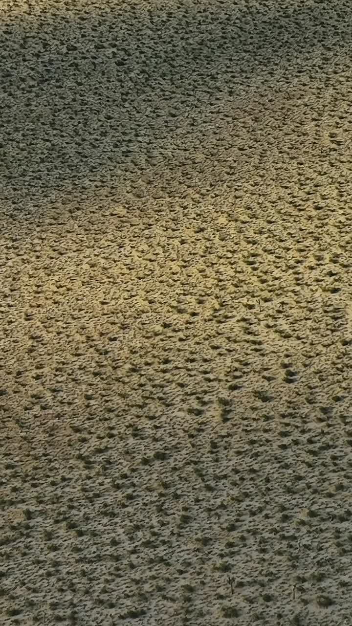 Vista aerea di un paesaggio arido con torrente tortuoso negli Stati Uniti