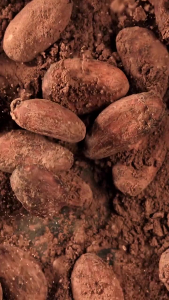 Raw Cocoa Beans Falling onto a Bed of Cocoa Powder