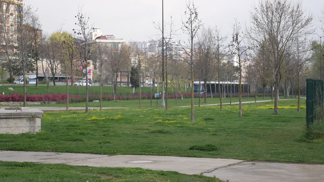 Городской парк с трамваем