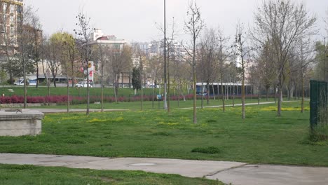 city park with tram