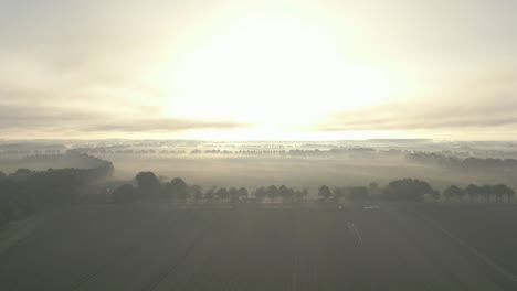 misty sunrise over dutch farmland