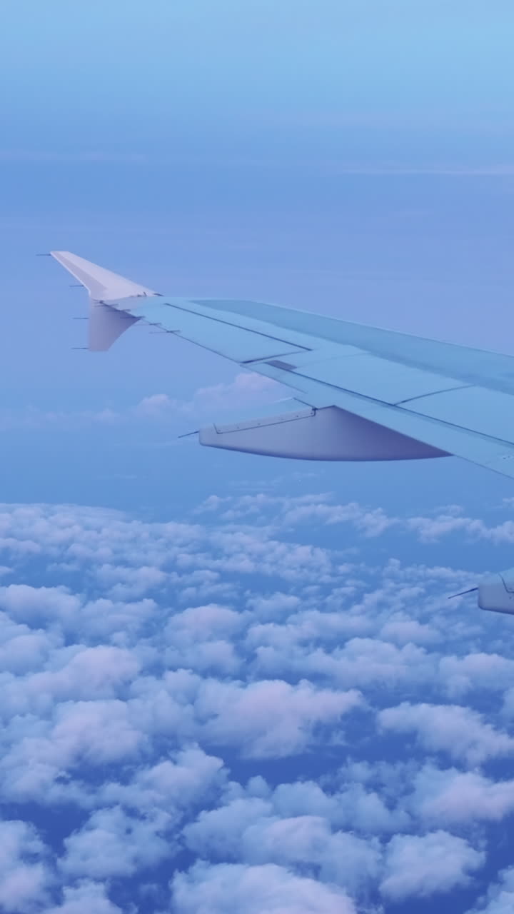 수직으로 은 비행기의 날개와 함께 해가 뜨는 하늘의 비행기 창문의 시각