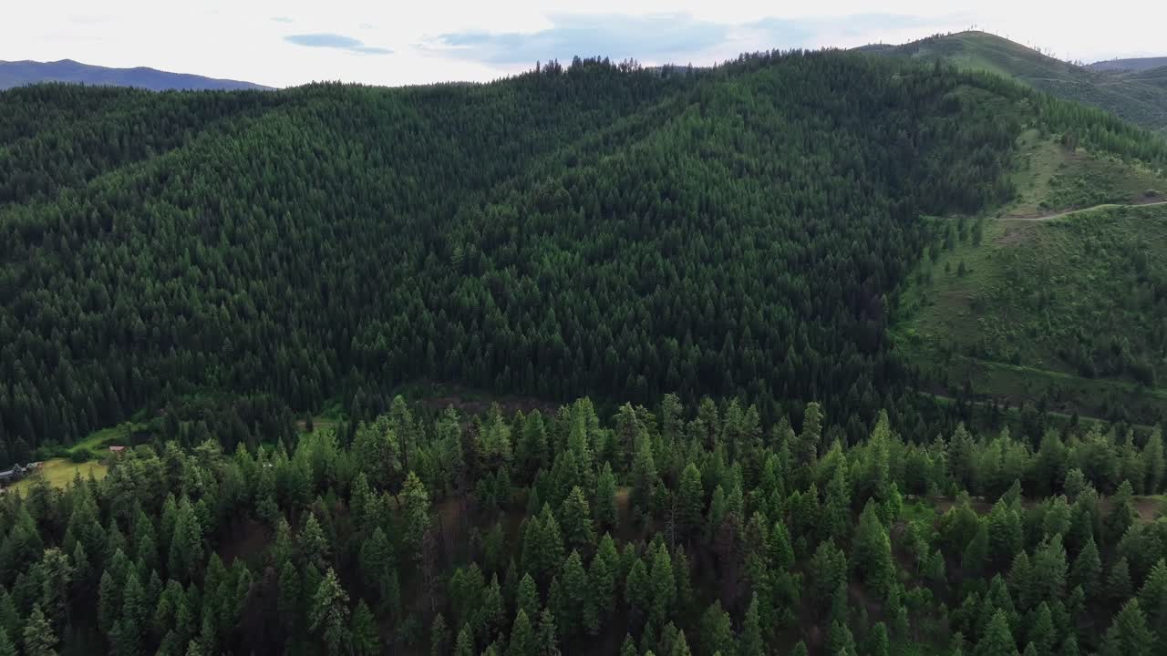Foresta verdeggiante e montagne nella città di Lolo, contea di Missoula, Montana, Stati Uniti.