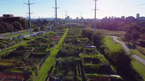 community garden allotment in large urban city with bike paths and electrical energy poles