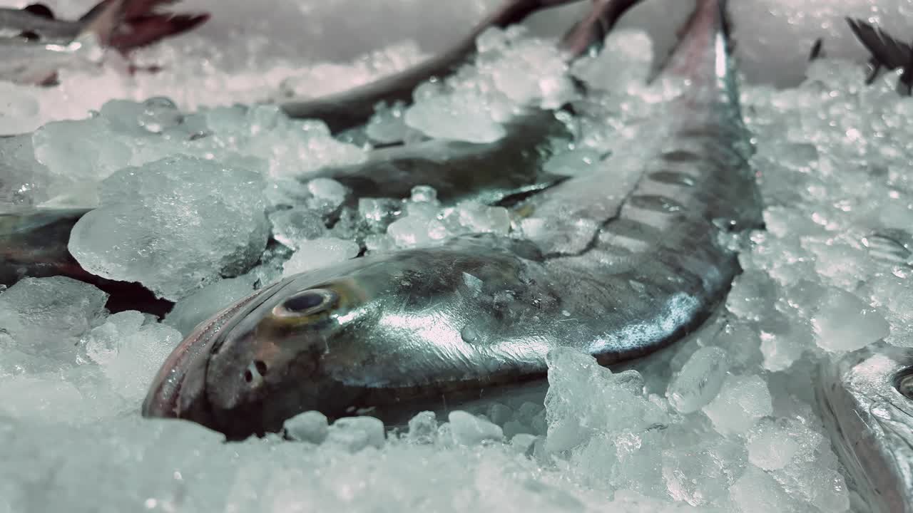 얼음 위의 신선한 생선