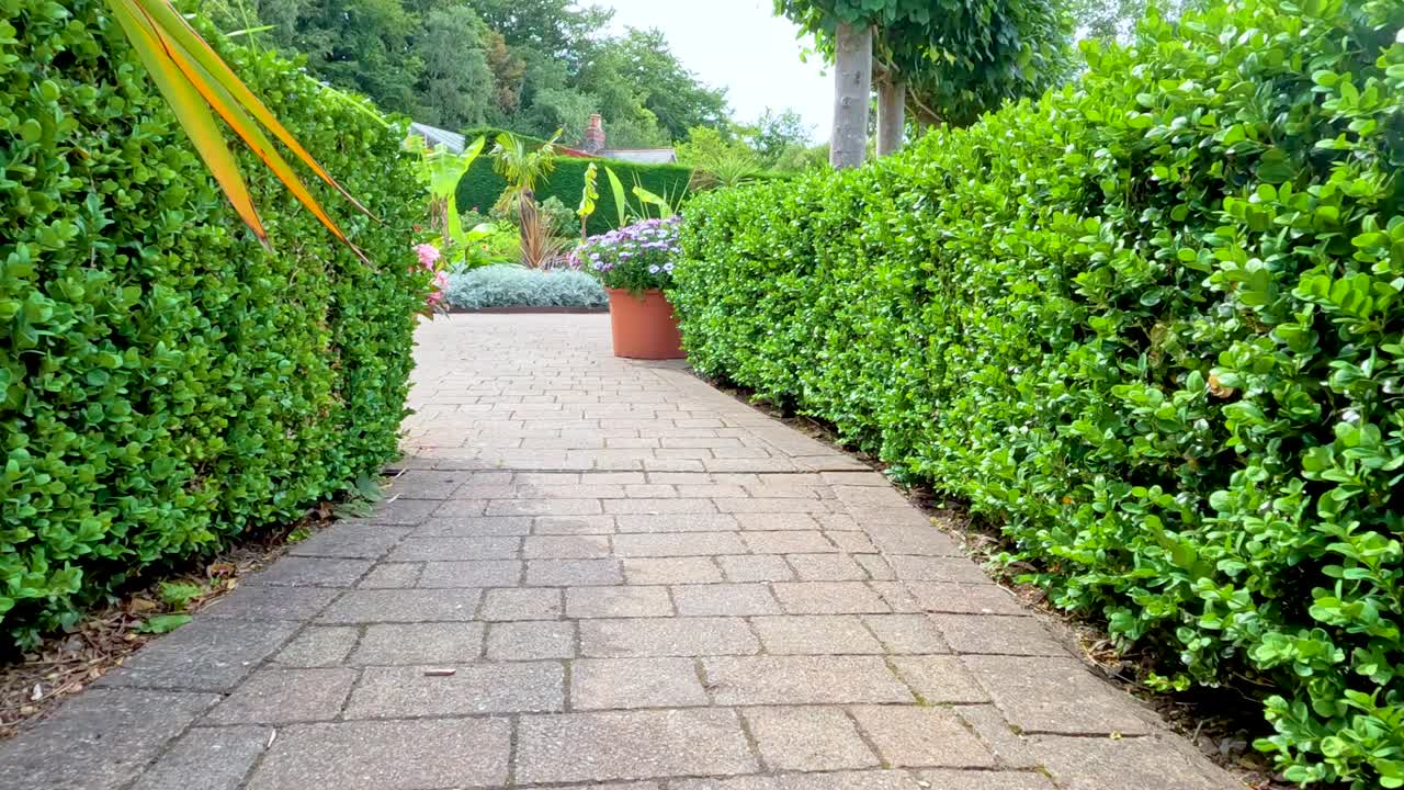 Forward-moving camera glides down a brick pathway bordered by vibrant green hedges in a botanical garden, under bright natural daylight, revealing potted plants and landscaped greenery