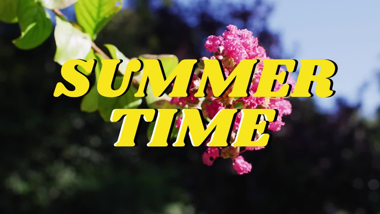Designer che visualizzano in anteprima una sovrapposizione 'SUMMER TIME' mentre la telecamera si sposta e la brezza porta avanti i fiori.