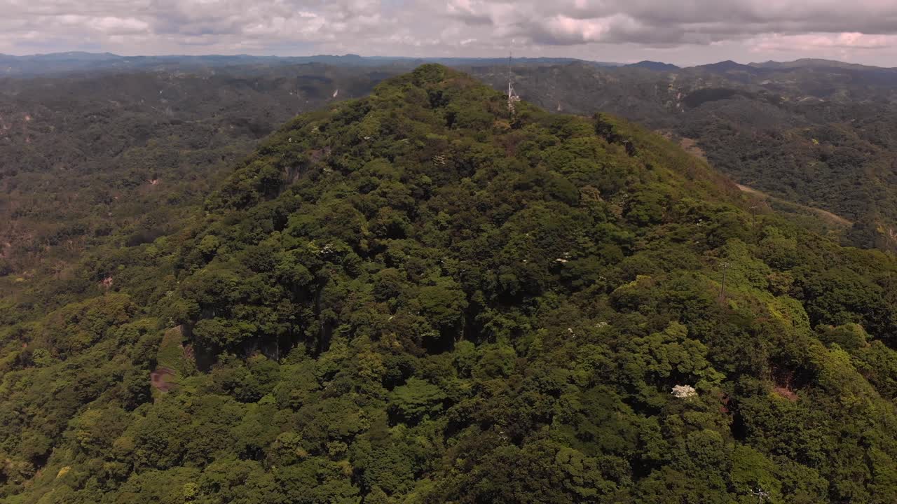 화창한 날에 녹색 빽빽한 초목 산의 아름다운 풍경 - 공중 무인 항공기