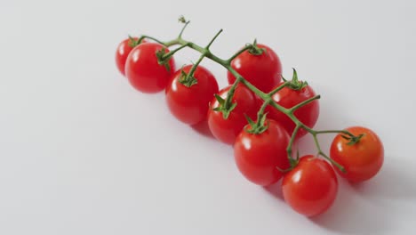 video de tomates cerezos frescos con espacio de copia en fondo blanco