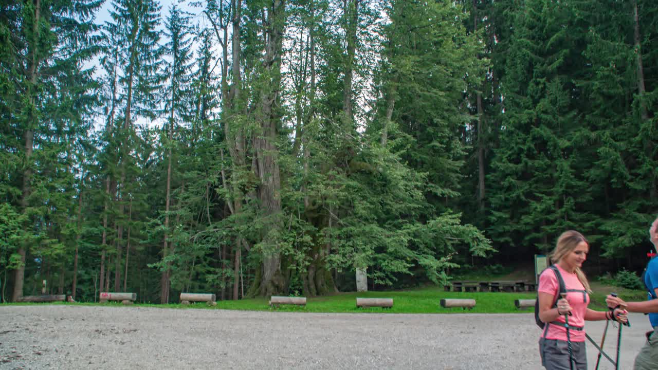 Active caucasian couple hiking around old linden tree, Slovenia