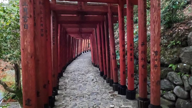 Antichi cancelli torii rossi al santuario Yutoku Inari a Kyushu, Giappone