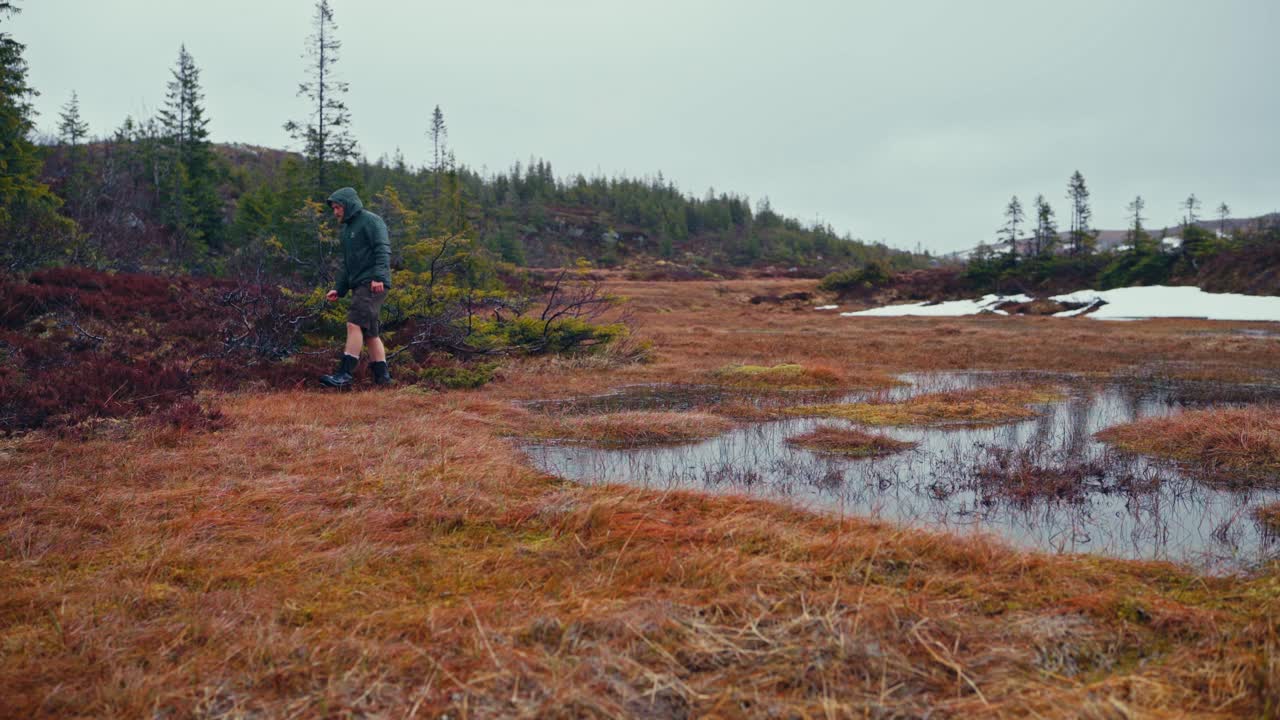 A Man Walks Across the Moss-covered Terrain Beside a Pond as Rain Gently Falls in Reinsjøen, Åfjord, Trøndelag, Norway - Static Shot