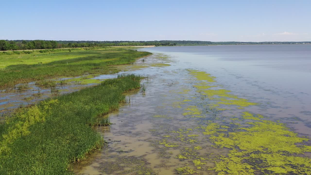 Flying Over Shoreline Wetland with Coastal Reed, Aerial forward