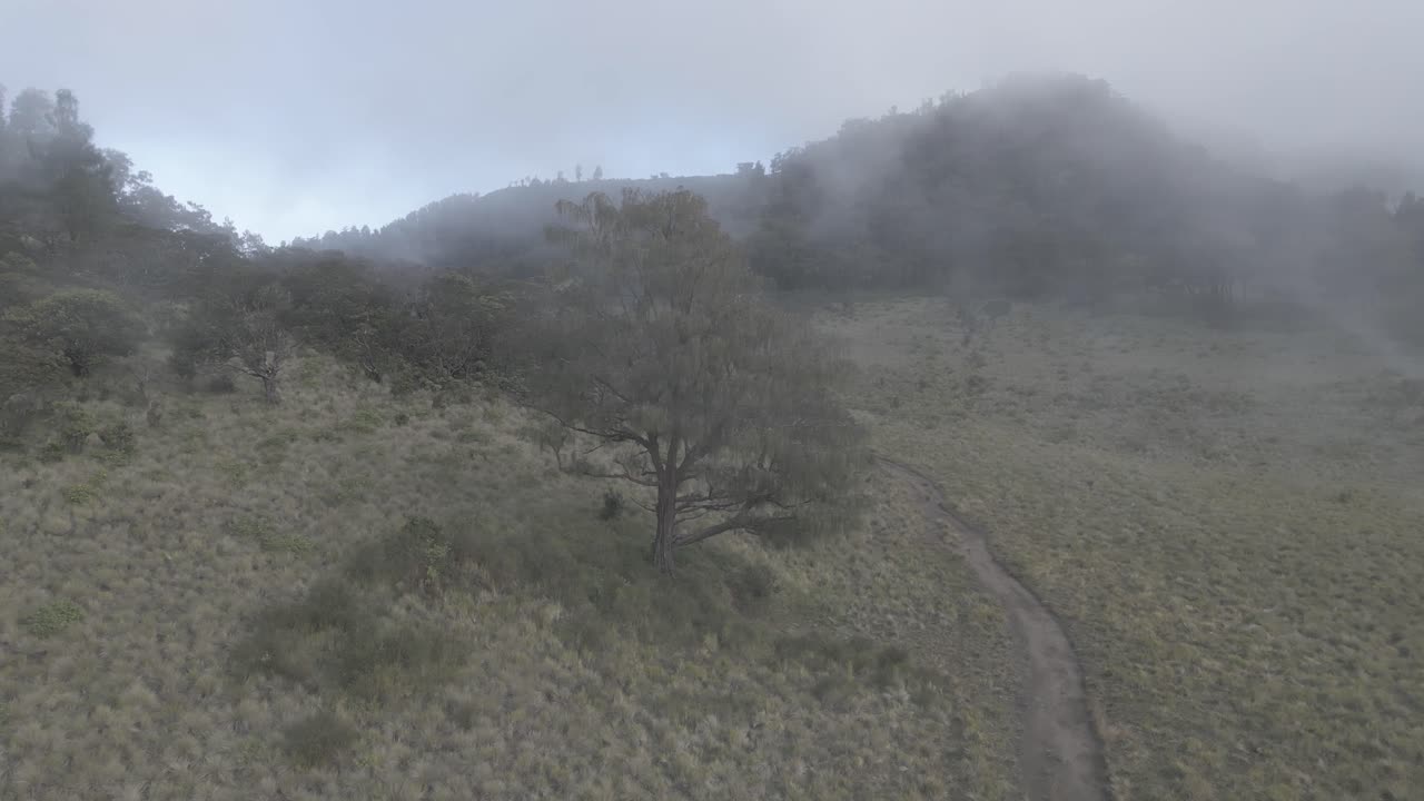 lawu 산 중앙 자바 인도네시아-7