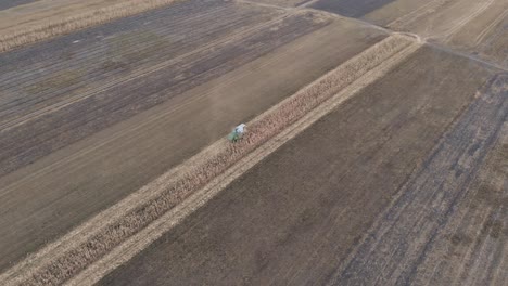 cosechadora recogiendo mazorcas de maíz en el campo - disparo aéreo de drones