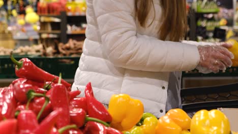 vegetarian woman chooses vegetables at the market. organic fresh vegetables. healthy vegan diet