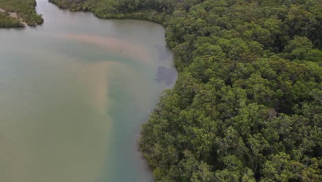 Bird's-Eye-View-Of-Green-Forest-Of-Tallebudgera-Creek-Conservation-Park-In-Queensland,-Australia