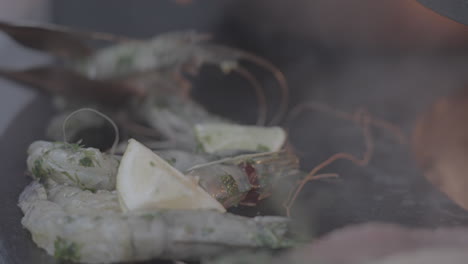 carne y pescado horneados en cámara lenta en un registro de parrilla de placa