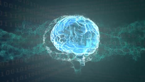 animación del cerebro digital y la cadena de adn sobre el procesamiento de datos en fondo negro