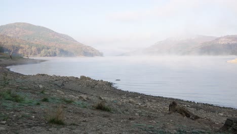 lake shore. light fog. silence and peace.