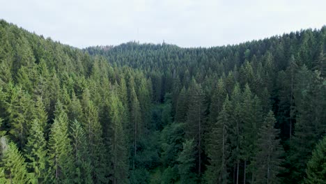 Aerial-drone-view-of-forest-dieback-in-northern-central-Germany