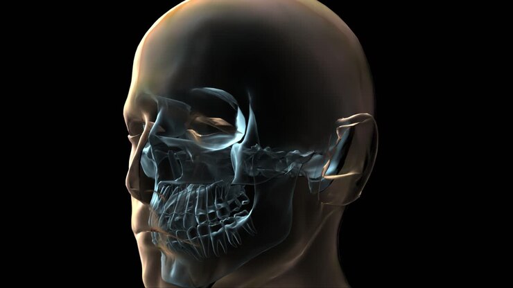 Animazione medica 3D di testa e ossa umane