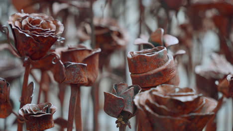 rosas metálicas oxidadas