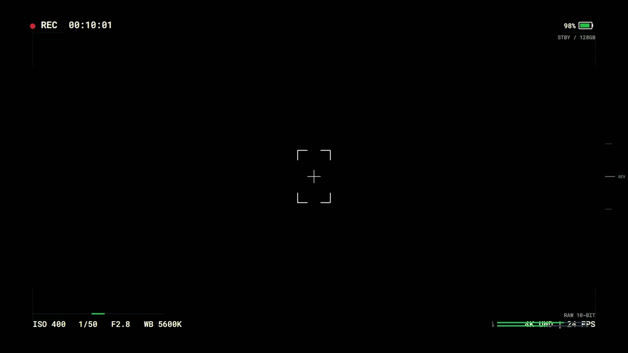 Digital Camera Viewfinder Interface Overlay