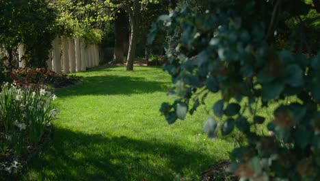 Schöner-Gartenrasen-Mit-Blumen-Und-Bäumen-An-Einem-Sonnigen-Tag---Selektiver-Fokus