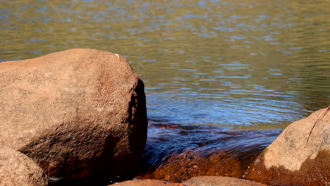 calm river water flowing over rocks in a peaceful natural setting