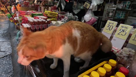 orange and white cat cleaning itself on a basket