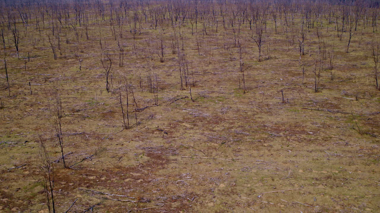 높은 드론 관점에서 볼 때 공중 산불 후유증입니다.