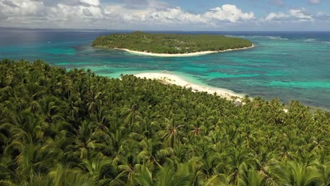 aerial shot flying over the top of the palm trees in the jungle, revealing a beautiful and quiet white sand beach with a small island nearby in the secluded paradise with a few small boats