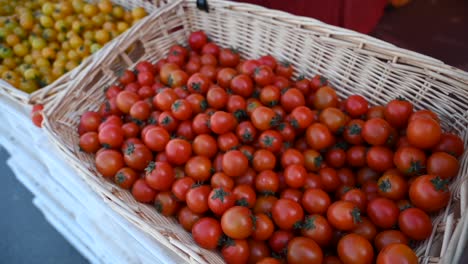 los tomates alegres cultivados localmente se exhiben y se ofrecen para la venta durante el festival de la agricultura en los emiratos árabes unidos