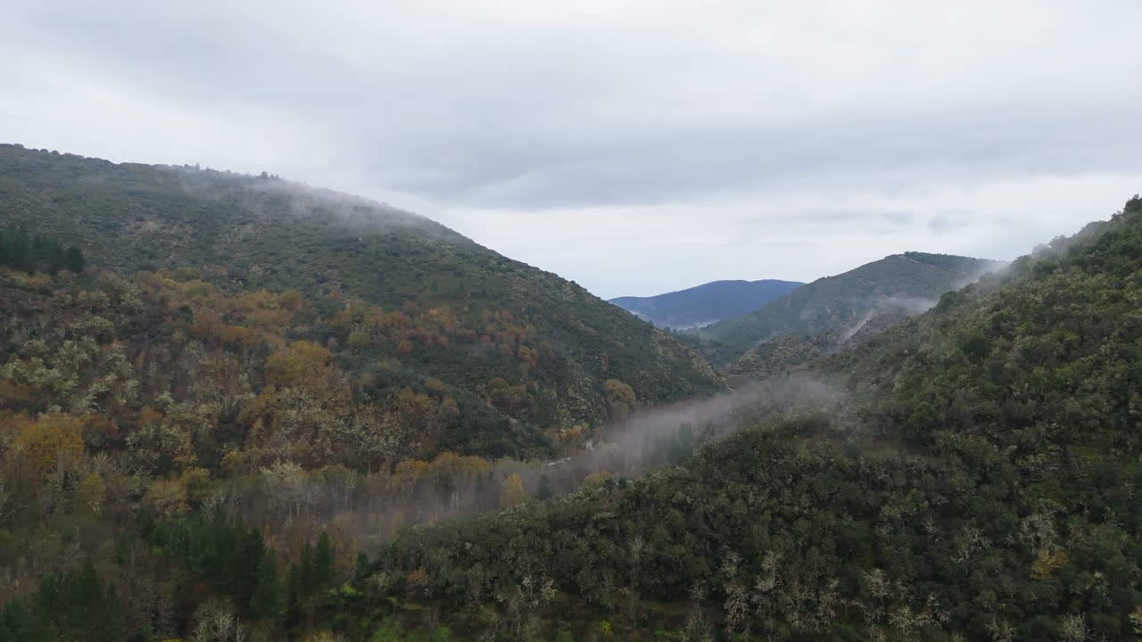 Aerial view of forested hills with autumn colors and mist hanging low under heavy clouds. The drone ascends, revealing dramatic mountain scenery